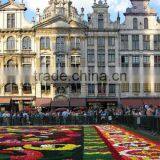 SOL 2015 Eco-friendly Flower Pots New Rooftop Planter New Plastic Rooftop Planter thumbnail-6