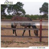 High brand Plastic PE horse rail fence manufacturer