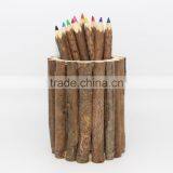12 Pcs Pine Coloring Pencil, 12 Nature Wooden Coloring Pencil, 12 Pieces Eco-Friendly Color Pencil thumbnail-2