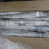 IQF Ribbon Fish thumbnail-1