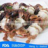 HL003 Healthy Seafood Crab Meat With Reasonable Price thumbnail-2