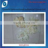 Latex Gloves thumbnail-2