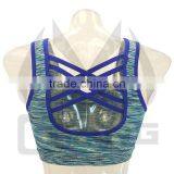 Factory Supply Sexy Ladies Bra Underwear Sports Wear Seamless Bra for Women thumbnail-5