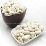 Lose Wight Product White Kidney Beans