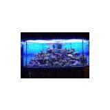 2012 Hot LED Aquarium Light thumbnail-1