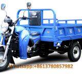 Gasoline Tricycle Cargo Loader Lovol Three Wheeler Mali Ethiopia Ghana Bukina Faso Tanzania Kenya Senegal Togo Benin Nigeira Mauritania Angola Burundi Chad Cameroon C ô te D'Ivoire Gabon Guinea Mozambique Rwanda Congo Uganda Zimbabwe thumbnail-1