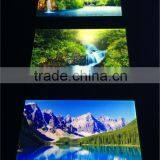 2015 Latest Fall View Wall Panel Light Virtual Window thumbnail-5
