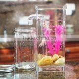 Fish Tank As Seen On TV thumbnail-3