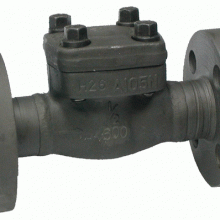 API602 Lift Check Valve Flanged (FCAXRF-LF) thumbnail-1