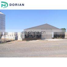 Modular Prefabricated Steel Structure Chicken House Construction thumbnail-2