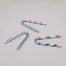 Q195 Carbon Steel U Type Nails for Fence Staples With Zinc Plating thumbnail-4