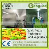 tunnel quick freezer price/quick freezing tunnel