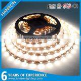 Flexible LED Rope Light thumbnail-6