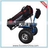 2014 fashion off road electric chariot or electric balance scooter with two big wheels for cross country