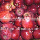 Apple Apple Fruit thumbnail-1