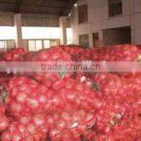 Fresh Onion Prices thumbnail-1