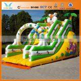 Popular Commercial Cheap Giant Inflatable Slide for Sale
