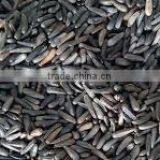 Niger seeds/nyjer seeds from india