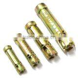 4PCs Expansion Shield Anchor