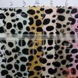 Bamboo Jacquary thumbnail-1