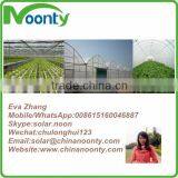 Professional Greenhouse Project Commercial Hydroponic Systems thumbnail-5