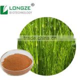 Pure and Natural Horsetail powder with Silica 7% /Equisetum arvense extract powder by Solvent Metnod