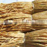 Campanumaea Pilosula thumbnail-1