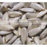 Sunflower Seed Kernels Confectionery