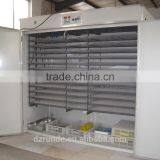 the Hatchery/egg Incubator for Chicken /quail /duck thumbnail-4