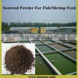 Feed Grade Kelp Meal,seaweed Kelp Meal Animal Feed in Europe and USA Market thumbnail-4