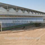 Multi Span Side Openable PC Sheet Greenhouse thumbnail-1