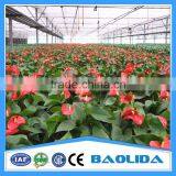 Veitical Tower Garden With Aeroponic thumbnail-6