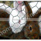 Hot Sale Hexagonal Wire Netting thumbnail-1