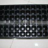 Plastic Seed Tray 72 Cells thumbnail-3
