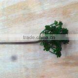 Home and Outdoor Garden Edging Christmas Decoration 60cm or 24inches Height Artificial Small Grass for Green Wall E04 1043 thumbnail-5