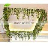 GNW FLV14 Scientific Names of Flower Handmade for Festive Decoration thumbnail-3