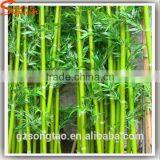 New Style Artificial Evergreen Bamboo Stick, Fake Bamboo Poles With Good Price thumbnail-1