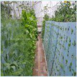 Plant Cultivation Plant Eco-friendly Use Breathable Healthy Seeding Planting Foam