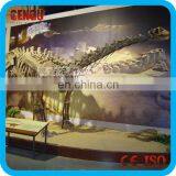 Real Size Dinosaur Skeleton Replica Model