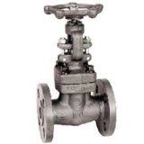 Forged Steel Globe Valve