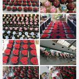 Kunming Foreverose Trading Co., Ltd company overview - view 3 thumbnail