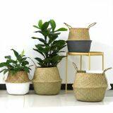 S/5 Woven Seagrass Belly Storage Plant Basket