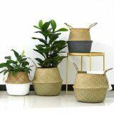 S/5 Seagrass Belly Storage Flower Basket thumbnail-3