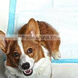 Scented Pee Pads for Dogs How to Train a Puppy Toilet Training Puppies