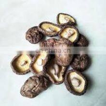 Natural Dry Shiitake Mushrooms Bulk Dried Mushrooms/Wholesale Cheap Healthy Dried Shiitake Mushroom From Vietnam thumbnail-2