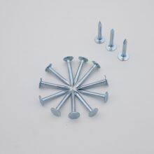 Customizable Felt Clout Nails - Multiple Sizes and Surface Treatments Available thumbnail-1