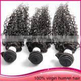 Factory Direct Selling Virgin Brazilian Jerry Curl Hair Weave Burgundy Brazilian Hair Weave Bundle Virgin Brazilian Hair thumbnail-5