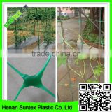 UV treated cucumber nets&knotless plant supporting net&trellis netting