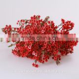 natural plants decorative with colorful wintersweet flowers