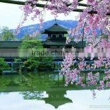 IMO Cargo,sea Freight From China to Spain thumbnail-1